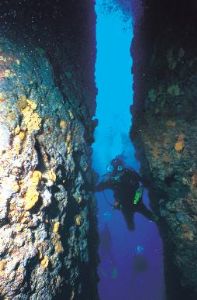 Divers crossing an underwater canyon,Zakynthos, Greece,Ni... by Karelas George 